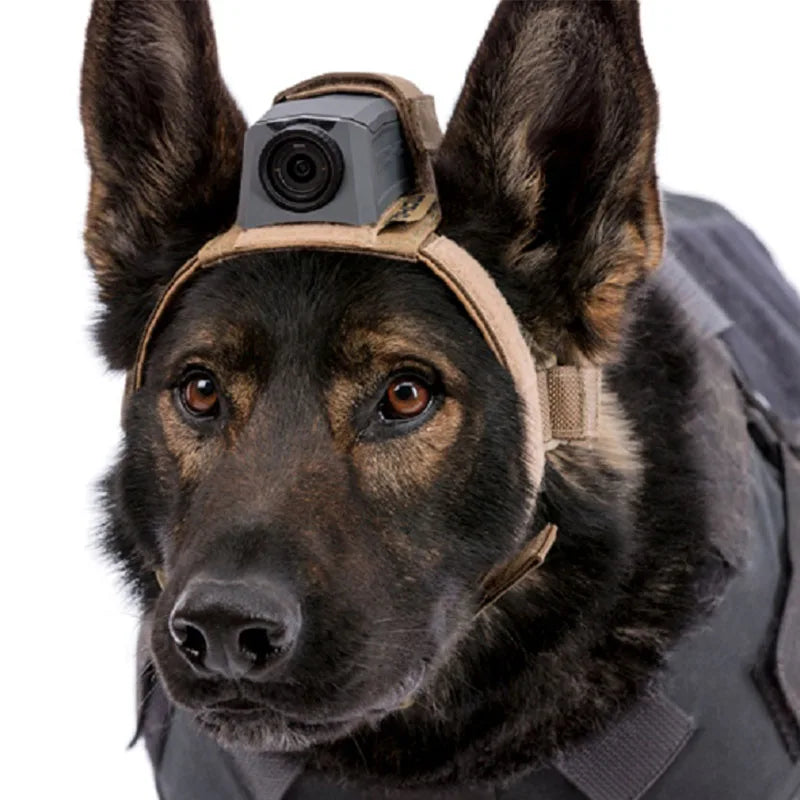 Tactical Helmet Camera 5 Megapixel Camera With Built-In Microphone Suitable Action Camera For Various Outdoor Extreme Adventures